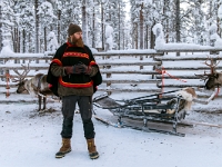 Traditional Lapland Reindeer Safari